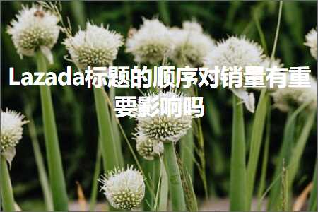 跨境电商知识:Lazada标题的顺序对销量有重要影响吗