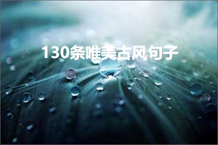 130鏉″敮缇庡彜椋庡彞瀛愶紙鏂囨455鏉★級