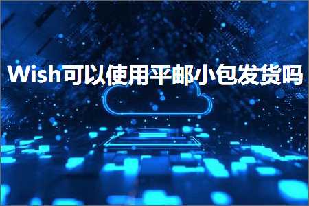 璺ㄥ鐢靛晢鐭ヨ瘑:Wish鍙互浣跨敤骞抽偖灏忓寘鍙戣揣鍚? width=