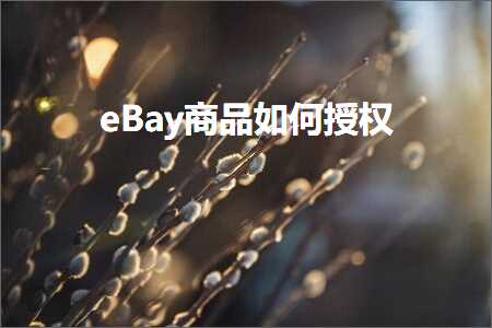 璺ㄥ鐢靛晢鐭ヨ瘑:eBay鍟嗗搧濡備綍鎺堟潈