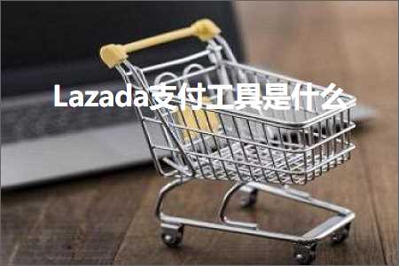 璺ㄥ鐢靛晢鐭ヨ瘑:Lazada鏀粯宸ュ叿鏄粈涔? width=