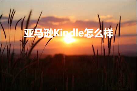 跨境电商知识:亚马逊Kindle怎么样