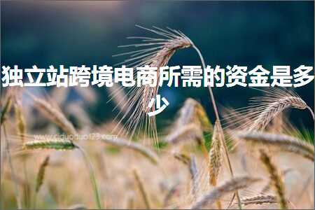 璺ㄥ鐢靛晢鐭ヨ瘑:鐙珛绔欒法澧冪數鍟嗘墍闇€鐨勮祫閲戞槸澶氬皯